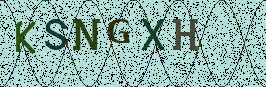 Visual Confirmation Security Code